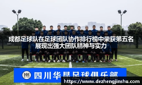 成都足球队在足球团队协作排行榜中荣获第五名展现出强大团队精神与实力