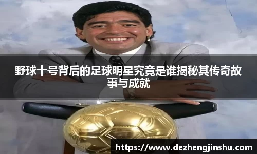 必一运动bsport体育